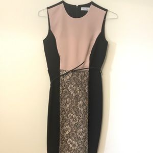 Calvin Klein Pink and black dress